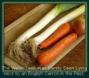 Leeks & Carrots can now lie together & can now even be planted in the same beds!
