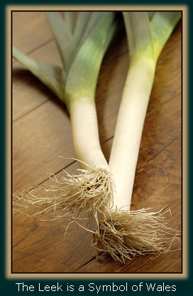 The Leek is a Symbol of Wales