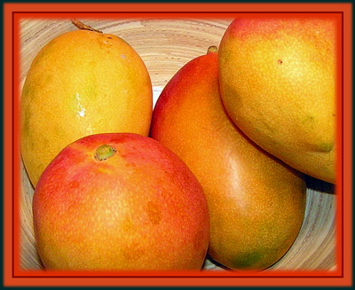 Mango