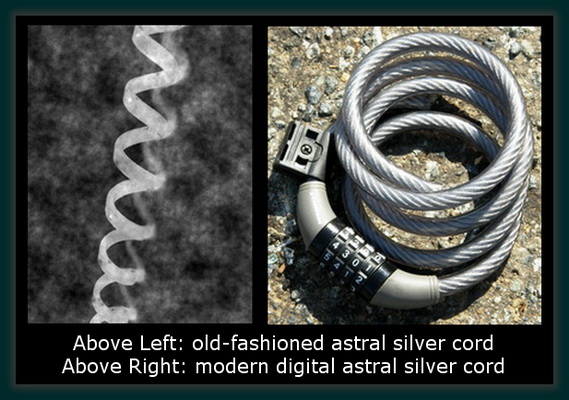 The Silver Cord