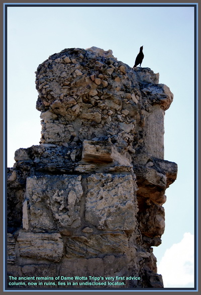 DWT's First Advice Column