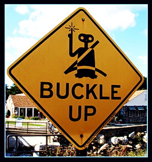 Buckle Up, Wild Ride Ahead!