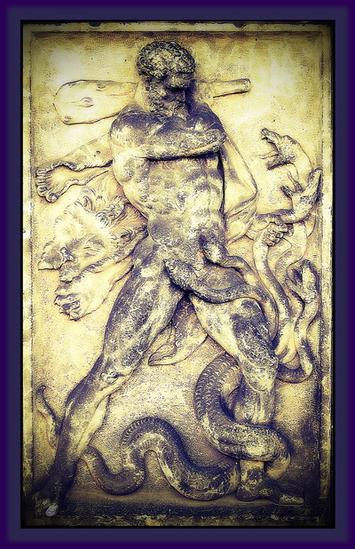 Shape Shifting Abilities