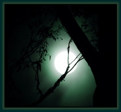 The Mystical Moon