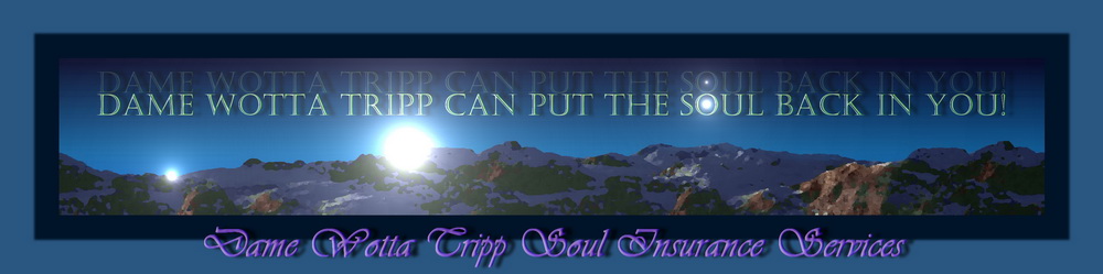 Wotta Tripp Soul Insurance