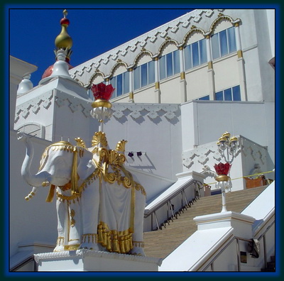 Slightly Tacky Close-Up