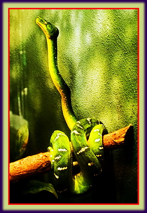 Cause The Energy To Move Around