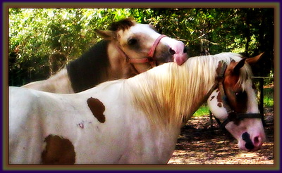 Love Exists Everywhere