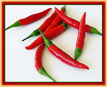 Spice Up Your Relationship! Spice Up Your Relationship!